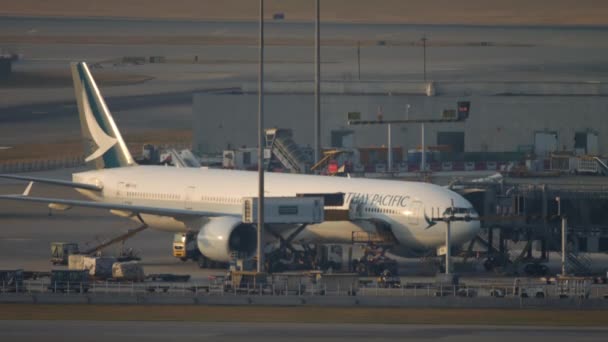 Boeing 777 beim Entladen nach der Ankunft am Flughafen Hongkong — Stockvideo