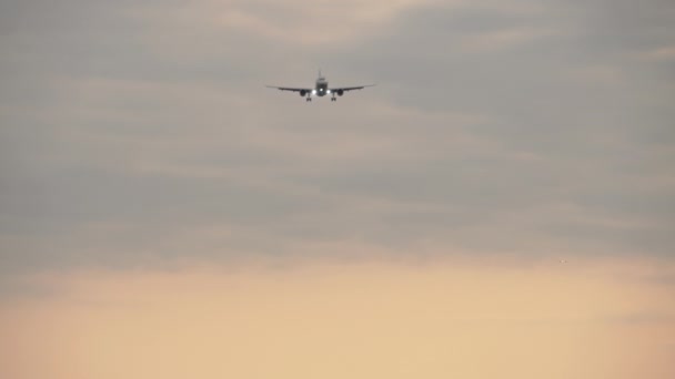 Uçak son hızla yaklaşıyor. Pist kenarından görüntüle — Stok video
