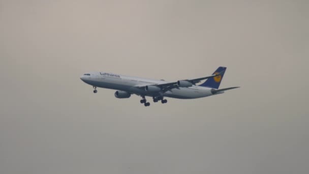 Lufthansa Airbus A340 на посадке — стоковое видео