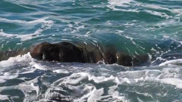 Vagues de mer roulant sur un rocher — Video