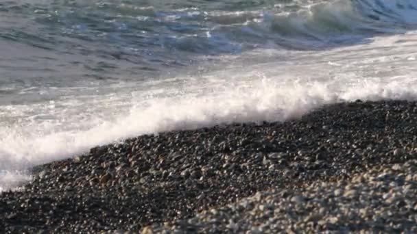 Морські хвилі котиться на гальковому пляжі — стокове відео