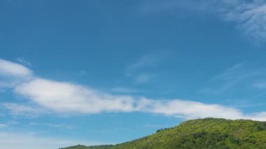 Tropikal Manzara Zaman Çizelgesi