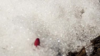 Eriyen karın hızlandırılmış görüntüsü