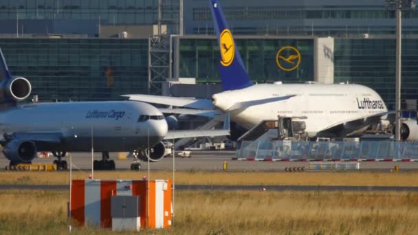 Lufthansa Cargo McDonnell Douglas MD-11 rollt vor dem Start — Stockvideo