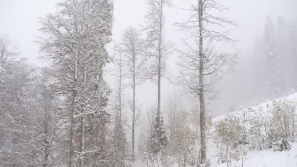 Vista da gôndola de teleférico movingup em queda de neve pesada. — Vídeo de Stock