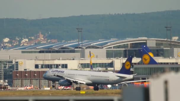 Lufthansa Airbus 321 lądowanie — Wideo stockowe