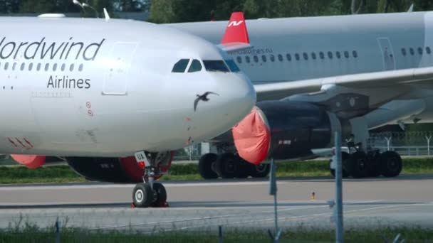 Airbus 330 a ser rebocado para manutenção — Vídeo de Stock
