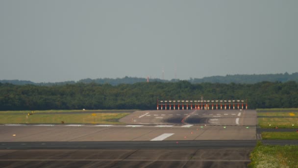 Nyúl a düsseldorfi repülőtér kifutópályáján — Stock videók