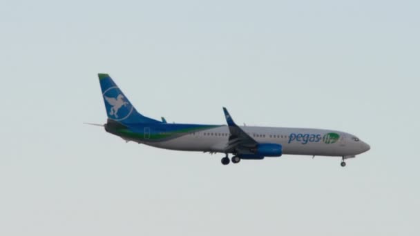 Boeing 737 Pegas flyger i skyn — Stockvideo