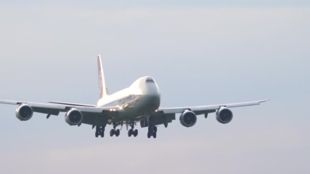 Avião de carga a aproximar-se para aterragem — Vídeo de Stock