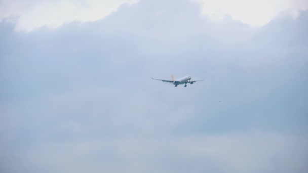 El avión vuela en el cielo nublado — Vídeos de Stock