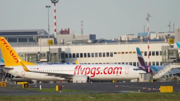 Vliegtuig FlyPegas taxiën na de landing — Stockvideo