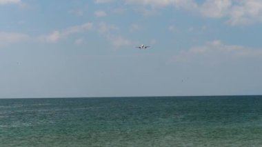 Denizin üzerinde bir uçak