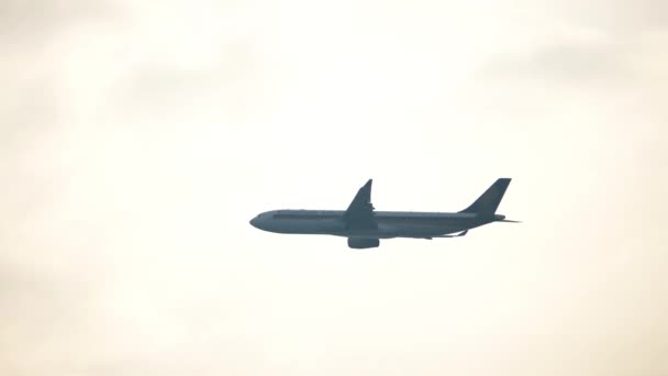 Улетающий ранним утром широкофюзеляжный самолет — стоковое видео