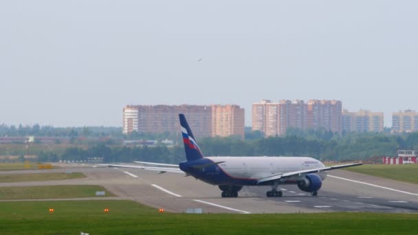 Trafic aérien dans l'aéroport de Sheremetyevo. — Video