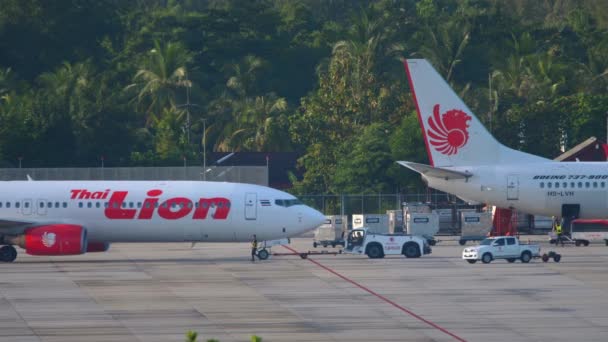 Thai Lion Air ist eine thailändische Billigfluglinie — Stockvideo