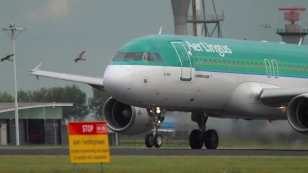 Aer Lingus accelererar och lyfter — Stockvideo