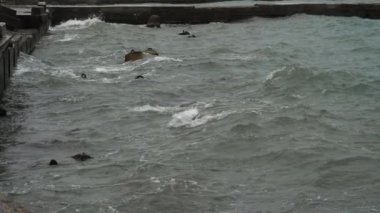 Yağmurlu bir günde deniz dalgası