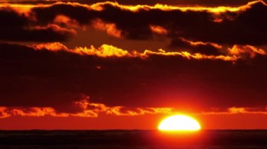 Günbatımı gökyüzünün arka planındaki kuş