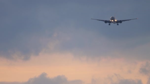 Avión aterrizando al atardecer — Vídeos de Stock