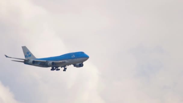 KLM航空の貨物ジャンボ — ストック動画