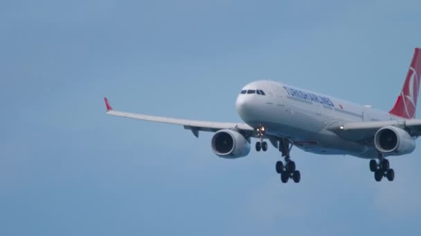 Turkish Airlines přiletí na letiště, turistická sezóna — Stock video