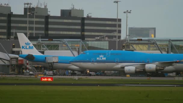 Άφιξη Boeing 747 KLM στο αεροδρόμιο Schiphol — Αρχείο Βίντεο