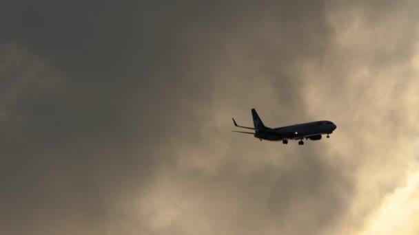 Silueta de avión vuela en el cielo del atardecer — Vídeos de Stock