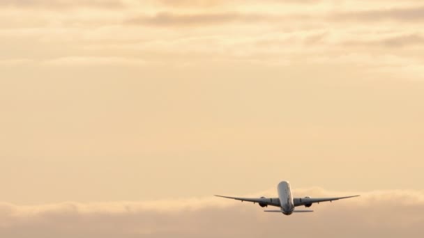 乘早班飞机从机场起飞 — 图库视频影像