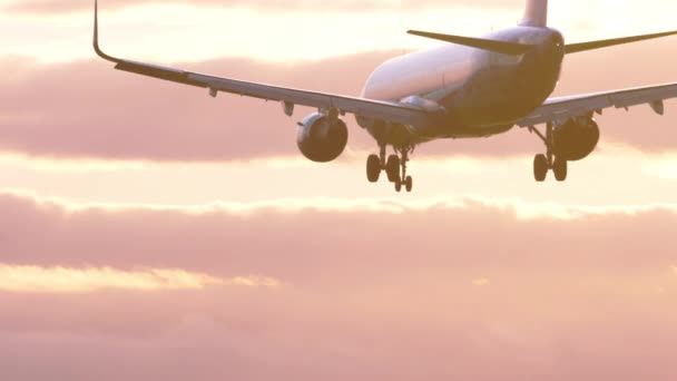 Avión de pasajeros al atardecer hermoso — Vídeo de stock