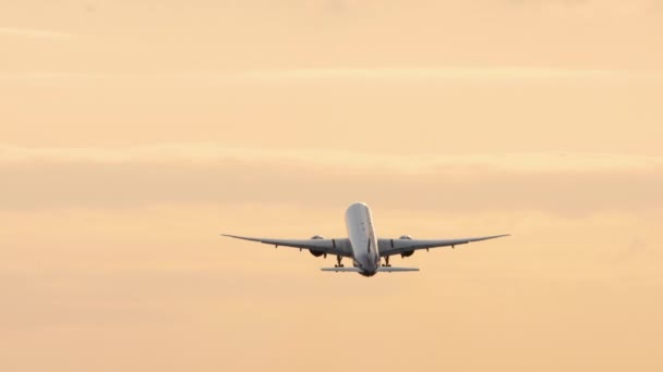 Frühzeitiger Start des Flugzeugs bei Sonnenaufgang — Stockvideo