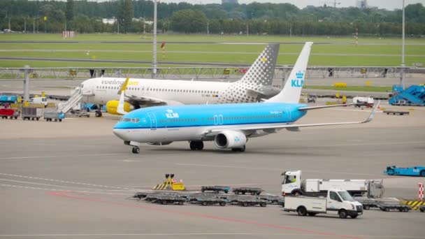 KLM Boeing 737 otoparkta duruyor. — Stok video