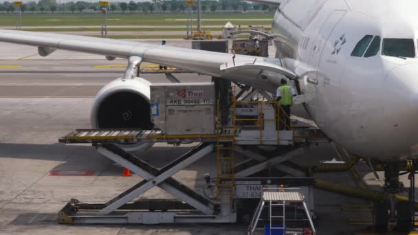 Bagagem de carga e carga a bordo da aeronave — Vídeo de Stock