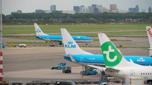 Boeing 737 da KLM Airlines partida de Amesterdão — Vídeo de Stock