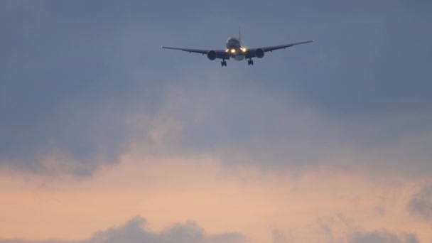Vliegtuig vliegt in de schemering voor de landing — Stockvideo