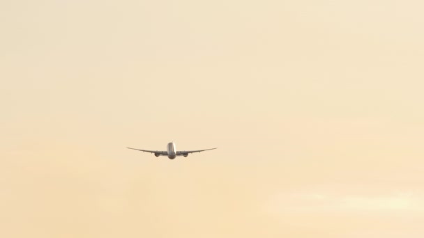 Passenger plane takes off at dawn — Stockvideo