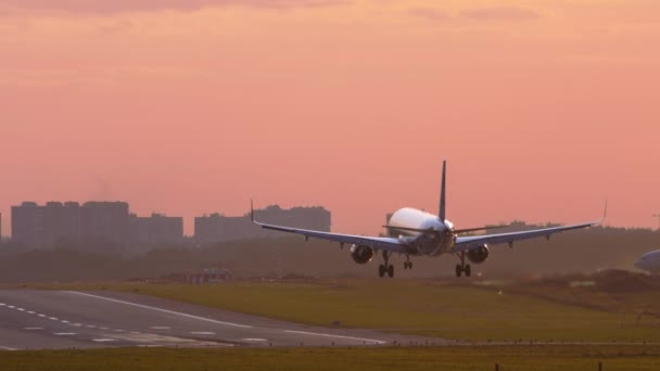 Plane landing in a beautiful sunset — Stockvideo