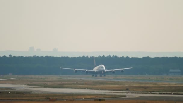 Flugzeug landet mit Dunst aus dem Fahrwerk — Stockvideo