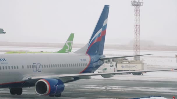 Passagiersvliegtuig dat in de winter op de luchthaven aankomt — Stockvideo