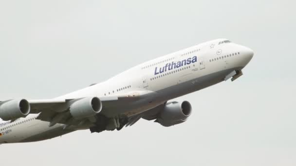 Lufthansa gewinnt an Höhe — Stockvideo