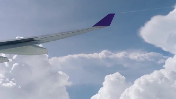 A felhők látványa a repülőgép ablakából — Stock videók