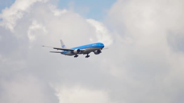 Широкофюзеляжный самолет приближается перед посадкой — стоковое видео
