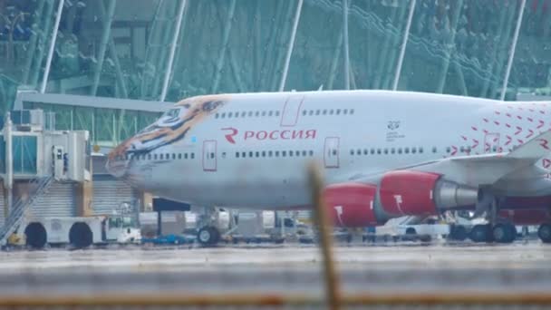 Rossiya Airlines lista para volar — Vídeo de stock