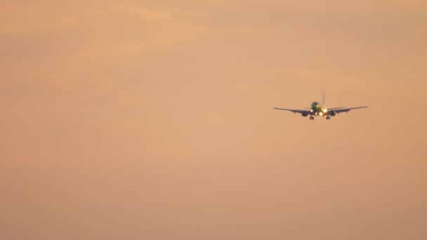 Flugzeug landet im Morgengrauen — Stockvideo