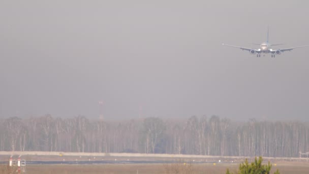 Пасажирський літак приземлився на злітно-посадковій смузі в аеропорту — стокове відео