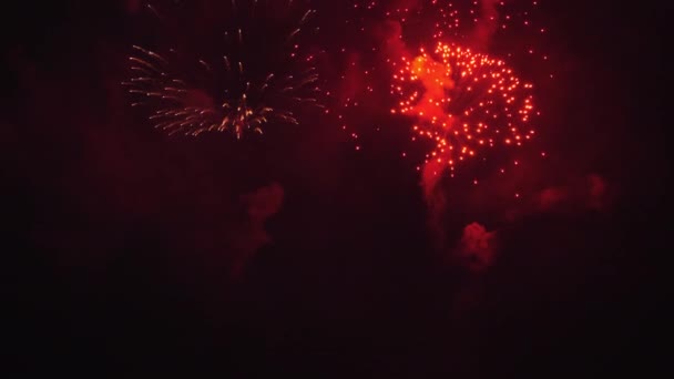Fireworks in the night sky — Stock Video