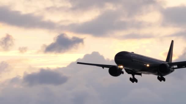 QATAR Boeing 777 landing at dusk — стокове відео