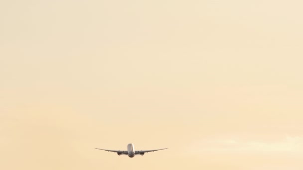 Flugzeug hebt bei Sonnenuntergang in Zeitlupe ab — Stockvideo