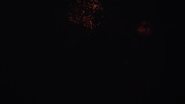 Múltiples fuegos artificiales por la noche — Vídeo de stock