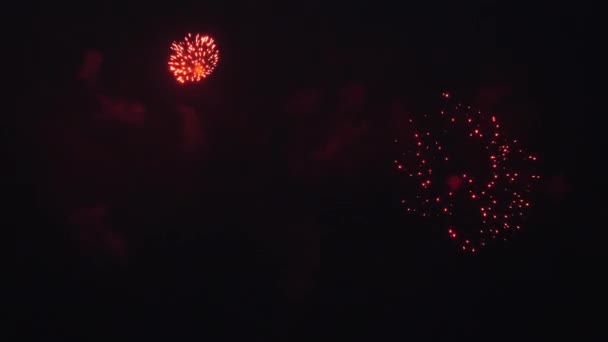Gyönyörű tűzijátékok robbanásai éjszaka Stock Felvétel
